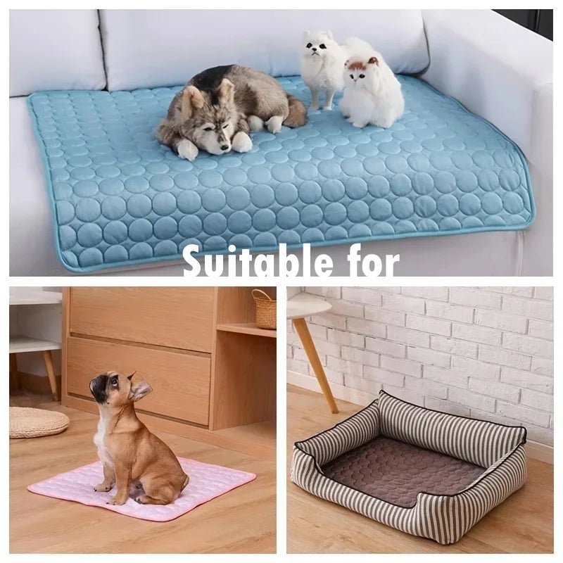 Tapete e cama acolchoados para cães e gatos, ideais para conforto e proteção em casa.