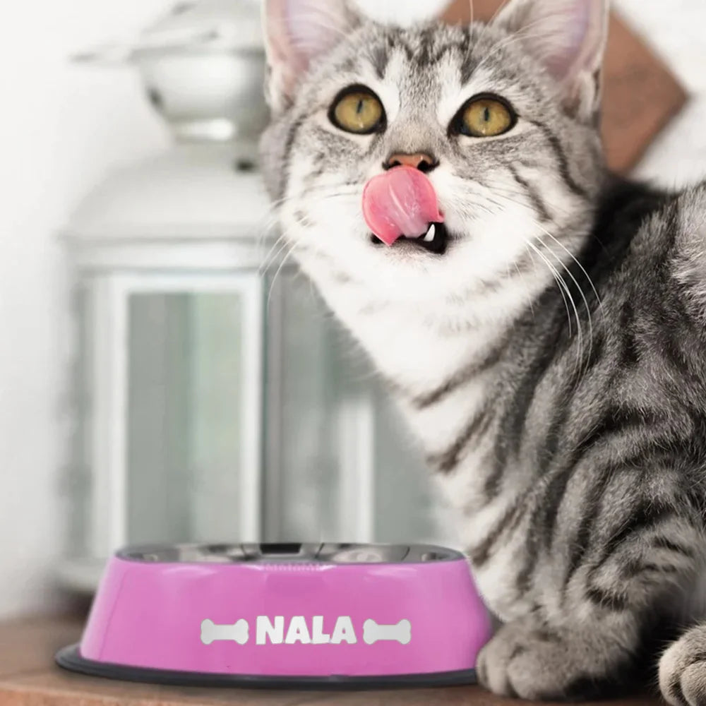 Comedouro para Cães e Gatos em Aço Inoxidável – Tigela para Ração e Água