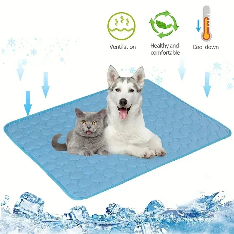 Cão e gato deitados em tapete gelado azul para pets, ideal para refrescar cães e gatos no verão.