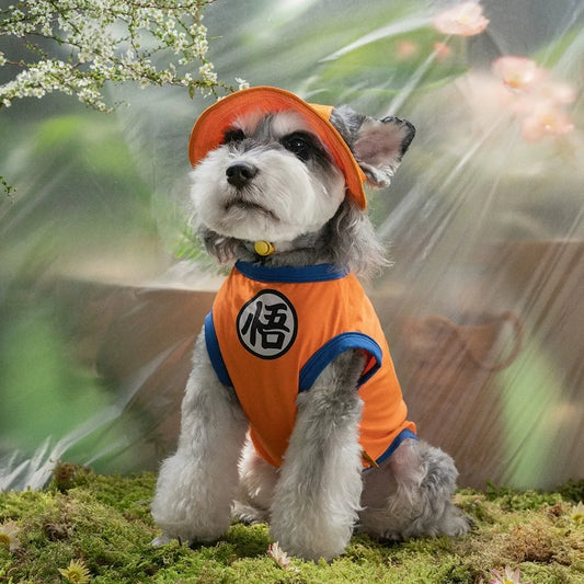 Colete Pet Estampado para Cães e Gatos de Pequeno Porte – Roupa Leve para Clima Ameno