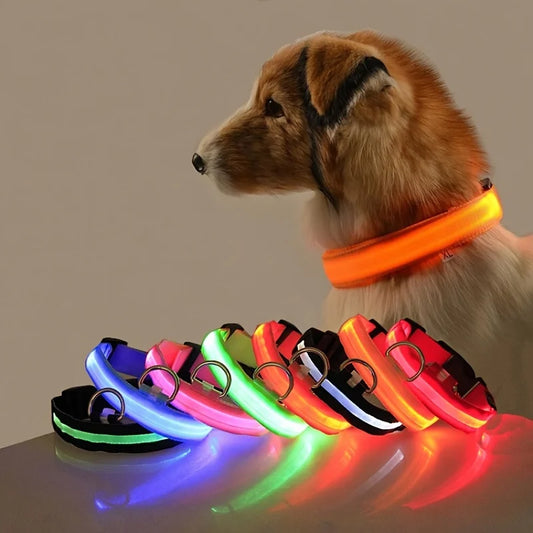 Coleira LED Luminosa para Cães - Segurança Noturna com Luz Piscante