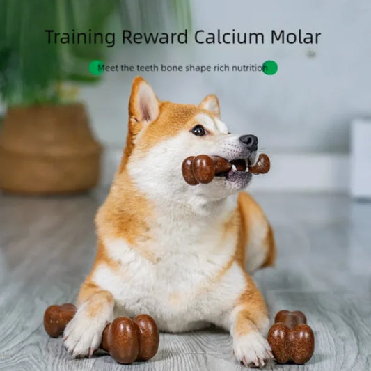 Osso Mordedor Natural Indestrutível para Cães – Anti-Mordida, Dentição, Todos os Portes