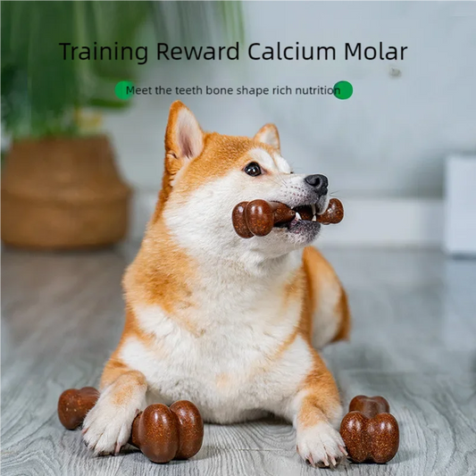 Osso Mordedor Indestrutível para Cães – Natural, Não Tóxico, Anti-Mordida, Todos os Portes