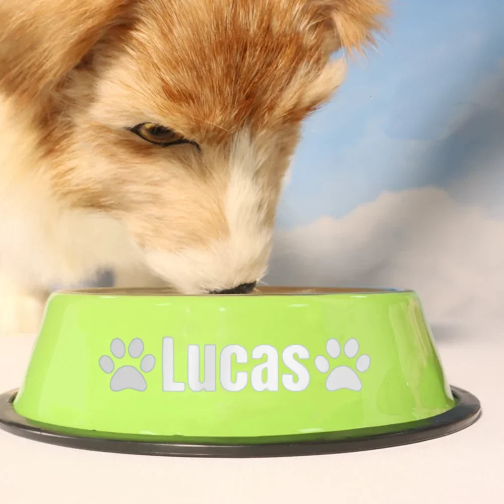 Comedouro para Cães e Gatos em Aço Inoxidável – Tigela para Ração e Água