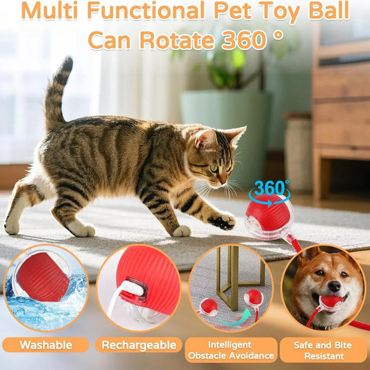 Gato brincando com bola interativa vermelha para pet, brinquedo giratório 360°, recarregável, lavável, resistente.