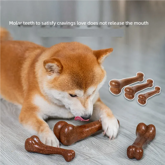 Osso Mordedor Indestrutível para Cães – Natural, Não Tóxico, Anti-Mordida, Todos os Portes